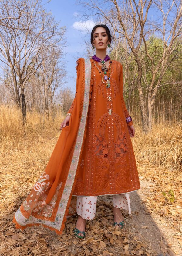 Premium Lawn Embroidered 3 Piece Unstitched Collection | HS-B
