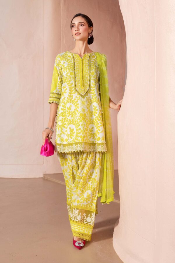 HS Dhanak 3 Piece Embroidery Shirt Printed Dupatta Dyed Trouser | H.S-21D - Image 4